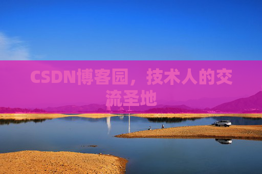 CSDN博客园，技术人的交流圣地